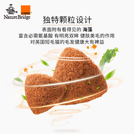 比瑞吉優(yōu)選全價英國短毛貓成年期貓糧